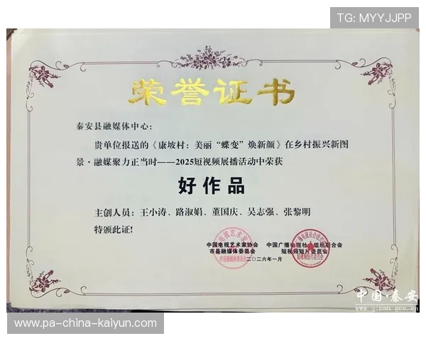 球员荣誉积分系统应用至国家队选拔，优秀球员荣誉证书